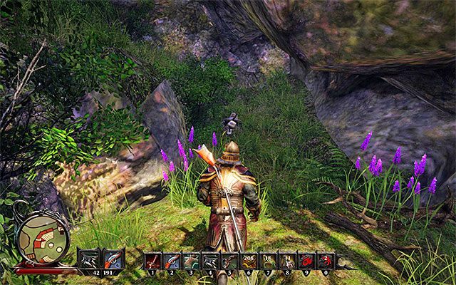 Okolice jaskini małp - Monkey Business (Małpi interes) | Poboczne zadania - Kila | Risen 3 - Risen 3: Władcy Tytanów - poradnik do gry