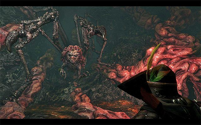 Margoloth - Speak to the Oracle (Porozmawiaj z Wyrocznią) | Główne zadania - Kila | Risen 3 - Risen 3: Władcy Tytanów - poradnik do gry