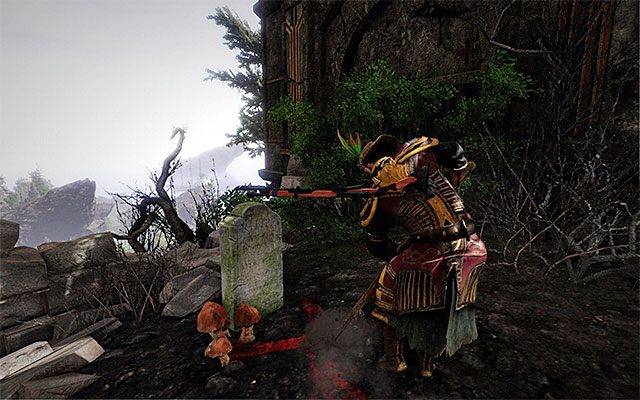 Musisz wykopać skrzynię, którą ukryto w ruinach zamku - Calador | Legendarne przedmioty | Risen 3 Władcy Tytanów - Risen 3: Władcy Tytanów - poradnik do gry