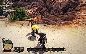 Jungle Spider (Pająk z dżungli) - Bestiariusz w Risen 3 Władcy Tytanów | Opis mechanik rozgrywki - Risen 3: Władcy Tytanów - poradnik do gry