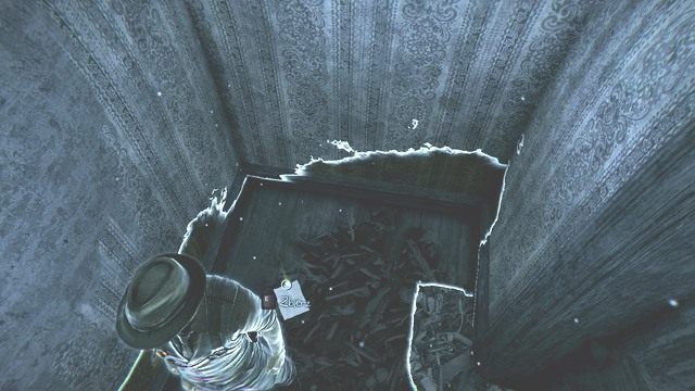 Wiesz już dużo na temat Julii. - Rozdział 8 - Przemyślenia Julii (8); Wspomnienia konsultantki (6) | Znajdźki - Murdered: Śledztwo Zza Grobu - poradnik do gry