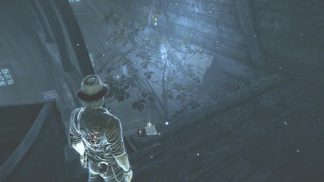 Cały widok zasłania drzewo. - Rozdział 4 - Przemyślenia Julii (4); Informacje o zabójcy (4) | Znajdźki - Murdered: Śledztwo Zza Grobu - poradnik do gry