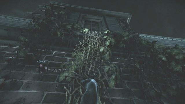 Kot to bardzo zwinne zwierzę. - Rozdział 2 - Na tropie świadka | Śledztwa główne | Murdered Śledztwo Zza Grobu - Murdered: Śledztwo Zza Grobu - poradnik do gry