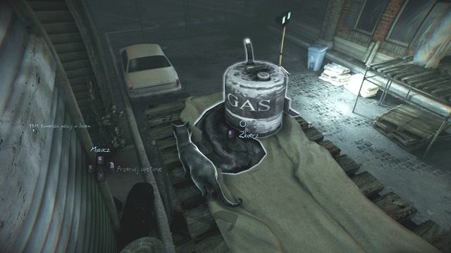 Kot jest zwinniejszy od Ciebie. - Rozdział 2 - Płomień wiekuisty (2) | Znajdźki | Murdered Śledztwo Zza Grobu - Murdered: Śledztwo Zza Grobu - poradnik do gry