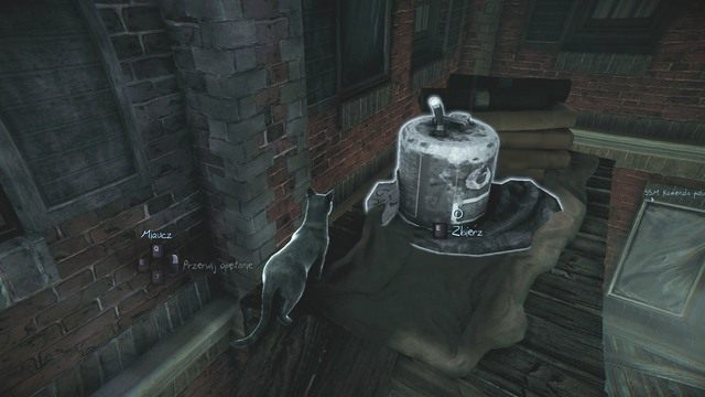 Za chwilę przerwiesz opętanie kota. - Rozdział 2 - Płomień wiekuisty (2) | Znajdźki | Murdered Śledztwo Zza Grobu - Murdered: Śledztwo Zza Grobu - poradnik do gry
