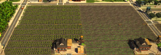 Farmy mają teraz wyznaczony obszar - 3. Zarabianie pieniędzy w Tropico 5 - Tropico 5 w 10 prostych krokach