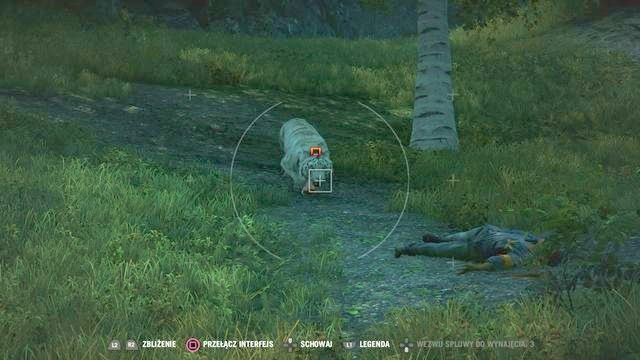 Maksymalne ulepszenia przedmiotów wymagają skóry specjalnych zwierząt. - Wytwarzanie przedmiotów w Far Cry 4 | Podstawy - Far Cry 4 - poradnik do gry