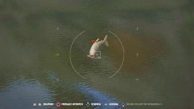 Ryba jest znacznie większa od zwykłych ryb-demonów. - Tydzień mody w Kyracie | Aktywności w Far Cry 4 - Far Cry 4 - poradnik do gry