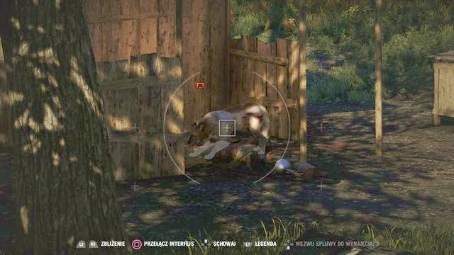 Tenzina rozpoznasz po innym kolorze futra. - Tydzień mody w Kyracie | Aktywności w Far Cry 4 - Far Cry 4 - poradnik do gry