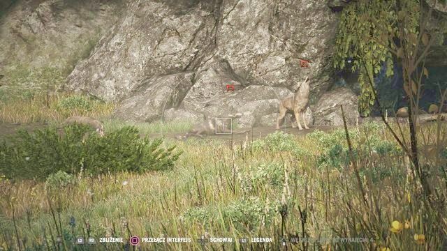 Najpierw wyeliminuj zwykłe wilki, a dopiero później rzadki okaz. - Tydzień mody w Kyracie | Aktywności w Far Cry 4 - Far Cry 4 - poradnik do gry