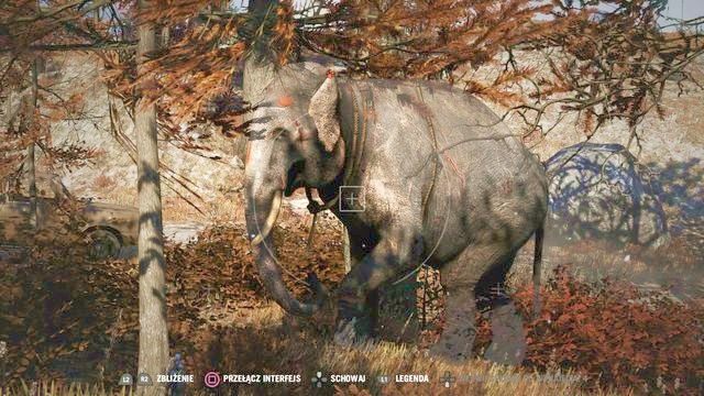 Słonia zabij stosując taktykę szybkich podjazdów i równie błyskawicznych ucieczek. - Tydzień mody w Kyracie | Aktywności w Far Cry 4 - Far Cry 4 - poradnik do gry