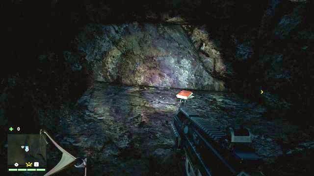 Dziennik znajdziesz na ostatniej półce w jaskini, na którą dostaniesz się używając parę razy kotwiczki - Południowy i centralny Kyrat | Dzienniki Mohana Ghalea | Far Cry 4 - Far Cry 4 - poradnik do gry