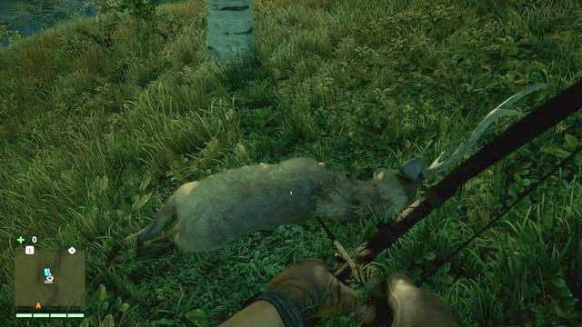 Ciała martwych zwierząt z których można zebrać skóry są oznaczone na minimapie szarym krzyżykiem (iksem). - Polowanie w Far Cry 4 | Podstawy - Far Cry 4 - poradnik do gry