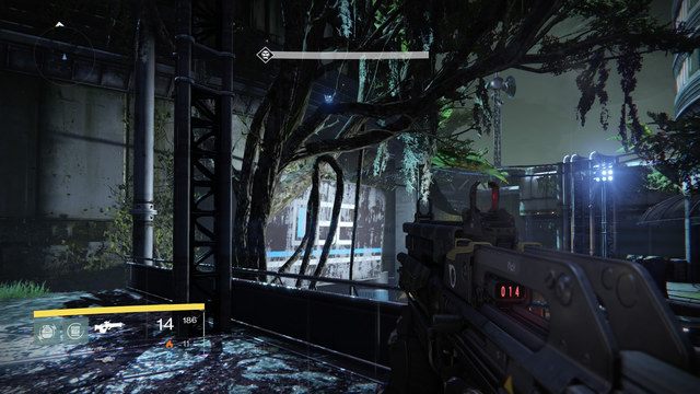 Ghost na drzewie w Hall of Whispers - Venus | Dead Ghosts | Destiny - Destiny - poradnik do gry