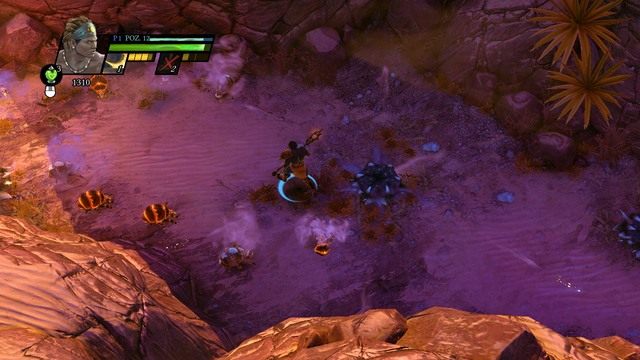 Niepozorne robactwo potrafi nieźle wybuchnąć. - Twierdza Palambron | Kampania w Sacred 3 - Sacred 3 - poradnik do gry