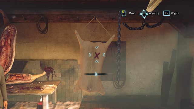 Traf w czerwone X. - Przeprowadź eksperyment z harpunem - Los Czarnego Piotra - Sherlock Holmes: Zbrodnia i kara - poradnik do gry