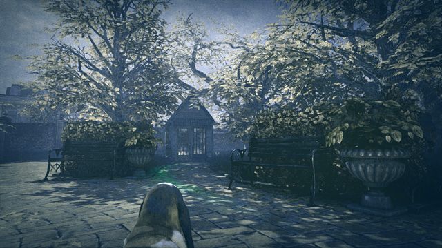 Do szopy, Toby! - Podążaj śladem Tobyego - Afera w Abbey Grange - Sherlock Holmes: Zbrodnia i kara - poradnik do gry