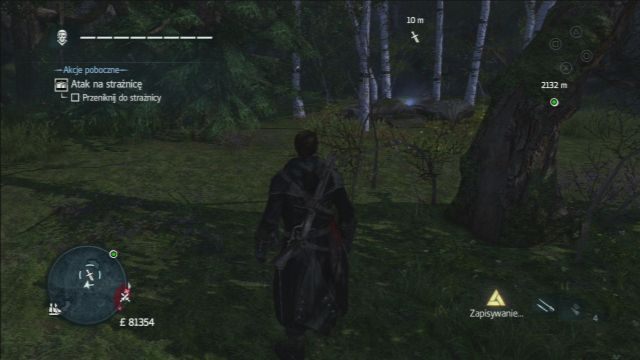 A tu w terenie. - Miecze Wikingów | Przedmioty do zebrania | Assassins Creed Rogue - Assassins Creed: Rogue - poradnik do gry