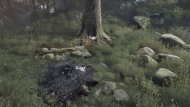 Po przeczytaniu wrócisz do poprzedniej wersji polany - Pułapki i czaszki | Opis przejścia Zaginięcie Ethana Cartera - Zaginięcie Ethana Cartera - poradnik do gry