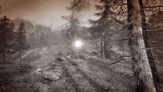 Usłyszysz kobiecy głos - Wiedźmi las | Opis przejścia Zaginięcie Ethana Cartera - Zaginięcie Ethana Cartera - poradnik do gry