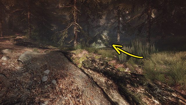 Teraz musisz skierować się do zamkniętego wejścia do kopalni, które mija się idąc dłuższą drogą do kościoła - Morderstwo w kopalni | Opis przejścia Zaginięcie Ethana Cartera - Zaginięcie Ethana Cartera - poradnik do gry