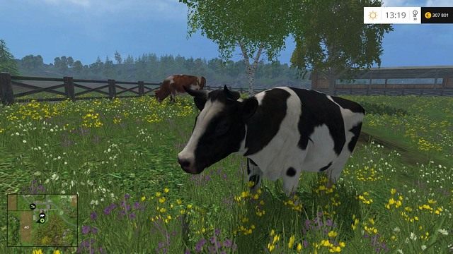 ...gdy innemu wystarczy posiadanie zadowolonego stadka. - Dalszy rozwój - specjalizacja w Farming Simulator 15 | Szybki start - Farming Simulator 15 - poradnik do gry
