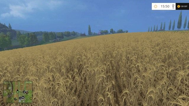 Proso widzę - zakrzyknęła, według legendy, królowa Bona. Na obrazku natomiast widzimy jęczmień... - Zboża w Farming Simulator 15 | Uprawy - Farming Simulator 15 - poradnik do gry