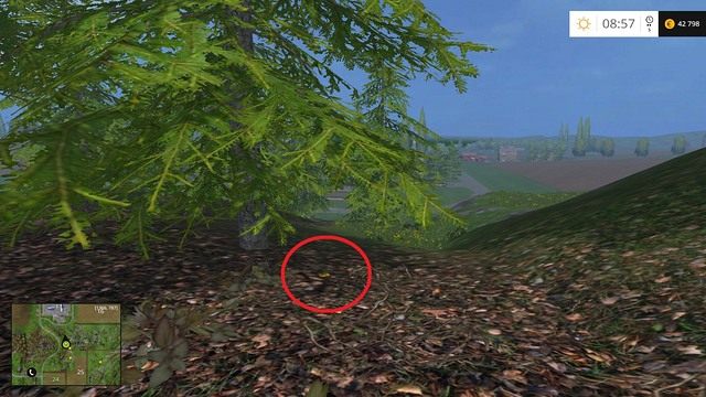 Na ściółce, obok drzewa - Sektor D: monety 45 - 54 | Złote monety w Farming Simulator 15 - Farming Simulator 15 - poradnik do gry