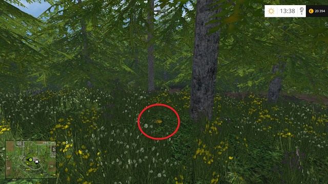 W trawie, pod drzewkiem - Sektor F: monety 70 - 89 | Złote monety w Farming Simulator 15 - Farming Simulator 15 - poradnik do gry