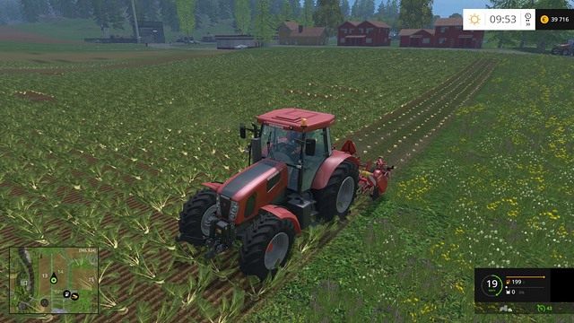 Pierwszy etap prac przy buraku cukrowym - usuwanie części zielonej. - Rośliny bulwiaste w Farming Simulator 15 | Uprawy - Farming Simulator 15 - poradnik do gry