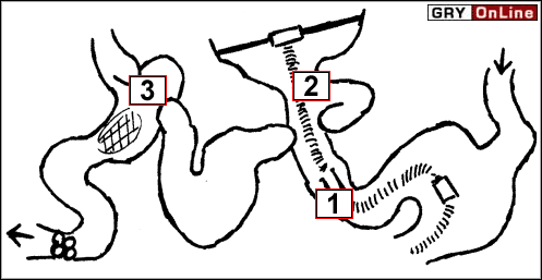 Wsiądź na skuter i teraz podążaj cały czas drogą - Chapter 03 - Project Omega | No One Lives Forever 2 A Spy in HARMs Way - No One Lives Forever 2: A Spy in H.A.R.M.s Way - poradnik do gry