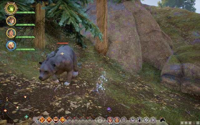 Duży niedźwiedź - Dragon Age Inquisition: Pazury Bergrita (Bergrits Claws) - Dragon Age: Inkwizycja - poradnik do gry