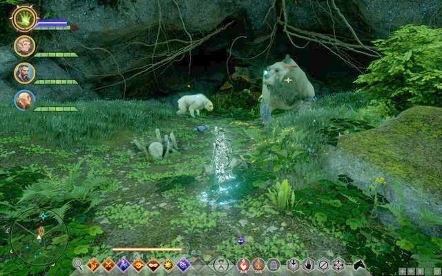 Niebezpieczne niedźwiedzie - Dragon Age Inquisition: Uwaga na niedźwiedzia (A Bear to Cross) - Dragon Age: Inkwizycja - poradnik do gry