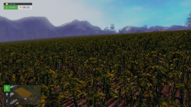 Rzepak to najbardziej opłacalna uprawa. - Jak zacząć? | Podstawy Symulator Farmy 2015 - Symulator Farmy 2015 - poradnik do gry