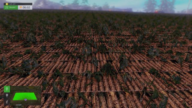 Dojrzałe ziemniaki nie wyglądają zbyt okazale, ale są całkiem opłacalną uprawą. - Ziemniaki i buraki cukrowe | Uprawy w Symulator Farmy 2015 - Symulator Farmy 2015 - poradnik do gry