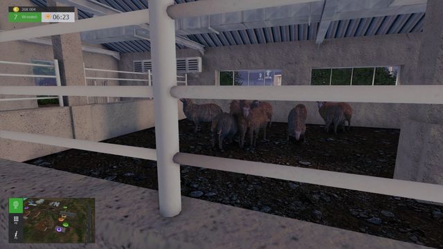 Owieczki przyniosą zysk tylko w przypadku karmienia ich wyprodukowanym na farmie sianem. - Kaczki, owce i konie | Hodowla w Symulator Farmy 2015 - Symulator Farmy 2015 - poradnik do gry