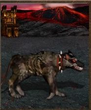 Atak: 10 - Inferno | Jednostki w Heroes of Might & Magic III - Heroes of Might & Magic III: HD Edition - poradnik do gry