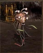 Atak: 10 - Lochy | Jednostki w Heroes of Might & Magic III - Heroes of Might & Magic III: HD Edition - poradnik do gry