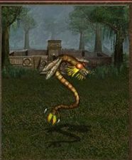 Atak: 8 - Cytadela | Jednostki w Heroes of Might & Magic III - Heroes of Might & Magic III: HD Edition - poradnik do gry