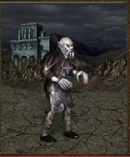 Atak: 10 - Nekropolia | Jednostki w Heroes of Might & Magic III - Heroes of Might & Magic III: HD Edition - poradnik do gry