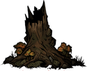 Stare Drzewo /Old Tree - Darkest Dungeon: Knieja (Weald) - ciekawostki - Darkest Dungeon - poradnik do gry