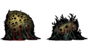 Thronging Hive - Darkest Dungeon The Crimson Court: Ciekawostki (Curio) (Dziedziniec) - Darkest Dungeon - poradnik do gry