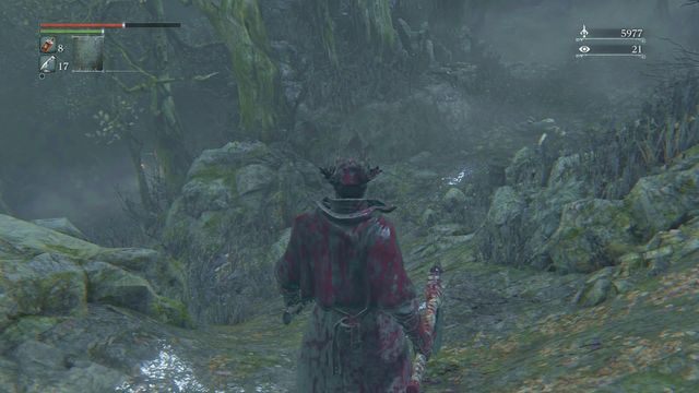 W Zakazanym lesie droga rozwidla się w wielu miejscach. - Zakazany las | Opis przejścia Bloodborne - Bloodborne - poradnik do gry