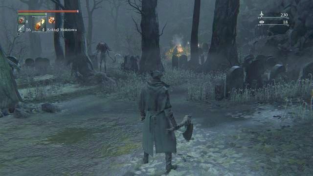 W kilku miejscach pojawią się wiedźmy. - Rewir Katedralny - po walce z Pastorem Amelią | Opis przejścia Bloodborne - Bloodborne - poradnik do gry