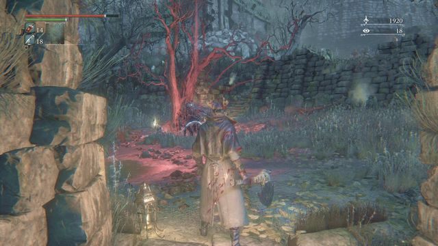 W kilku miejscach spotkasz materializujące się wiedźmy. - Karner w Hemwick | Opis przejścia Bloodborne - Bloodborne - poradnik do gry