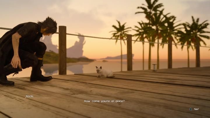 W czasie gry dwukrotnie napotkasz zagubionego kota - Pozostałe zadania | Solucja Final Fantasy XV - Final Fantasy XV - poradnik do gry