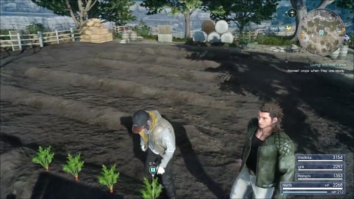 Po dotarciu do Cape Caem w rozdziale 8, porozmawiaj z Iris - Pozostałe zadania | Solucja Final Fantasy XV - Final Fantasy XV - poradnik do gry