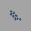 Blue Berries - Leczenie i medykamenty w Unturned - Unturned - poradnik do gry