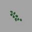 Green Berries - Leczenie i medykamenty w Unturned - Unturned - poradnik do gry
