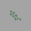 Pale Berries - Leczenie i medykamenty w Unturned - Unturned - poradnik do gry